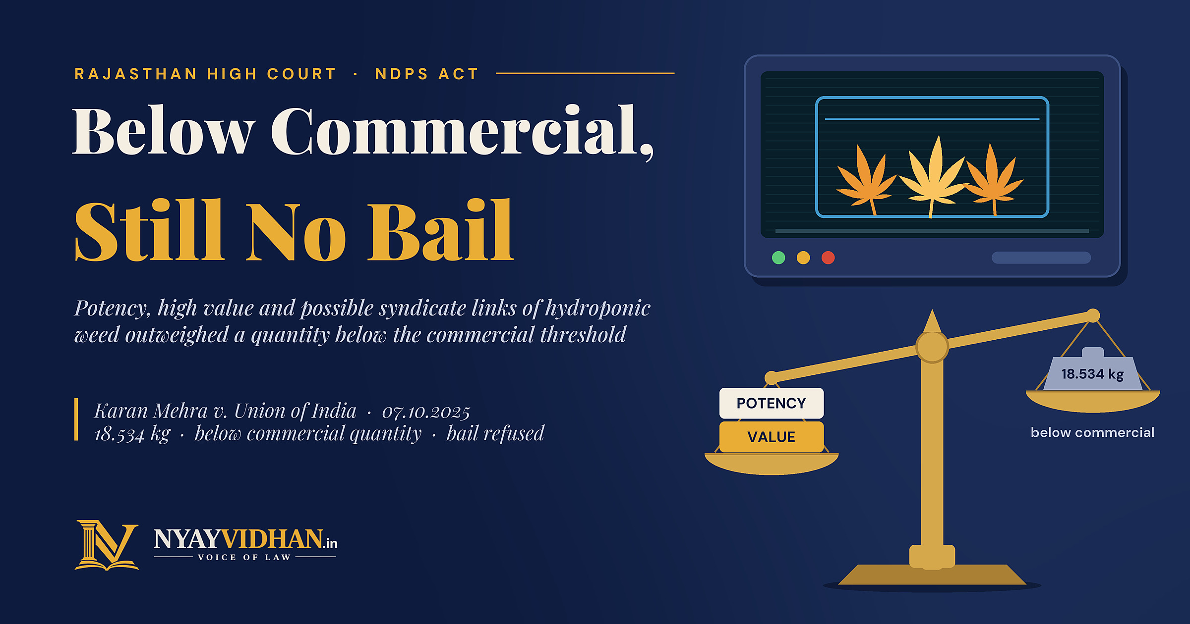 Hydroponic Weed Below Commercial Quantity: Rajasthan High Court Refuses Bail Citing Potency, Value and Organised Smuggling