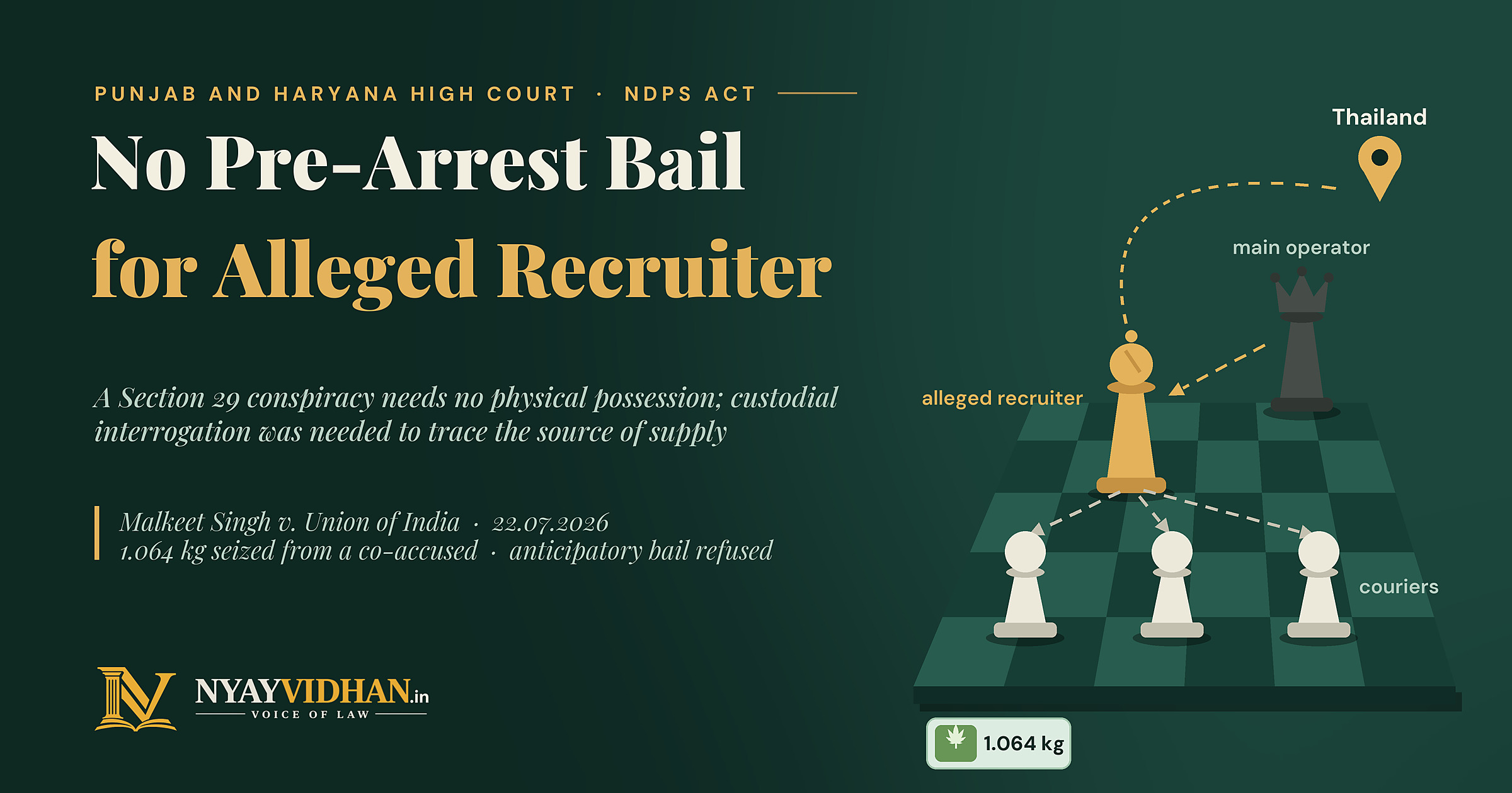 Hydroponic Ganja Cartel: Punjab and Haryana High Court Refuses Anticipatory Bail to Alleged Recruiter, Cites Custodial Interrogation