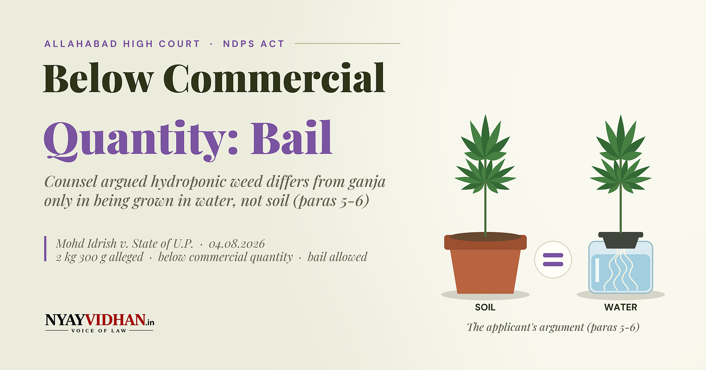Allahabad High Court Grants Bail Over 2.3 kg of Hydroponic Weed Below Commercial Quantity
